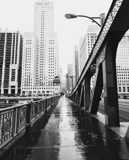 chicago black and white weinberg law